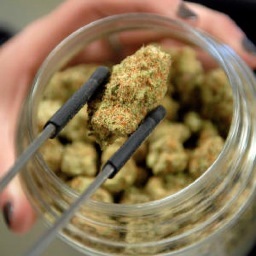 HighTimesTravel's profile picture. US and worldwide cannabis friendly travel club  Bookings available now, so join us and #stayhigh http://t.co/WveVQFKWou