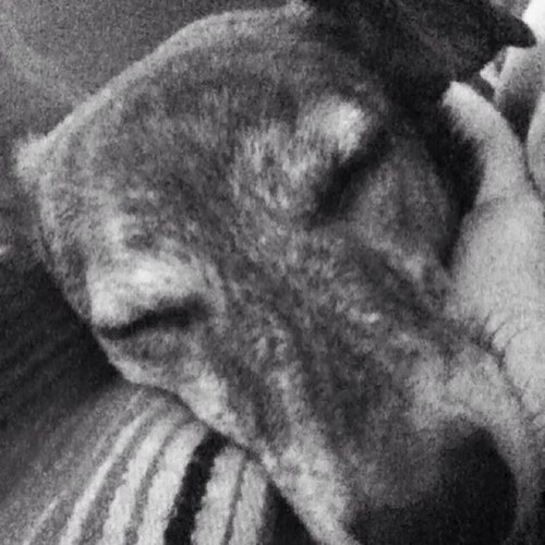 Evilsmilesatme's profile picture. 