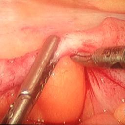 MaddogMBlitz's profile picture. 