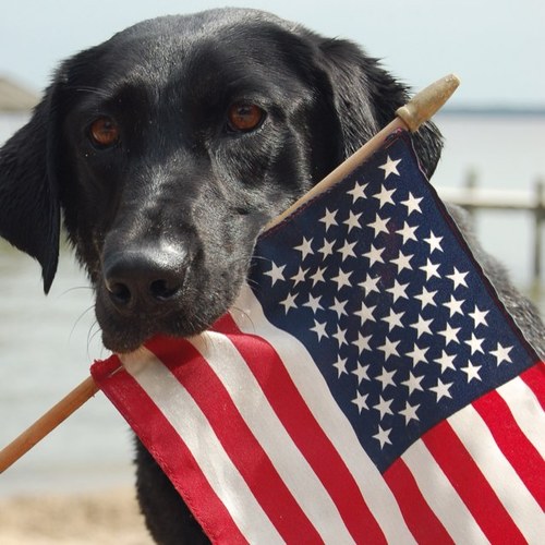 Susieq92149's profile picture. 