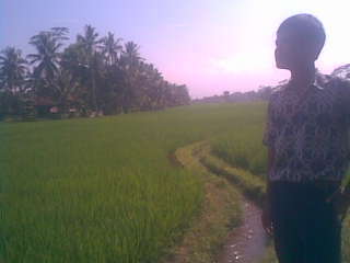 Follow Me OR @Maulannasep