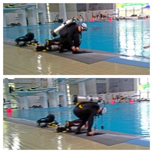 pterpann's profile picture. 