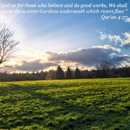 MuslimFunerals's profile picture. Paradise Gardens Funeral Services is our service which specializes in Islamic Funerals, and we're part of a network of Muslim Funeral providers.