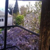 (((Phroexus))) (@phroex) 's Twitter Profile Photo