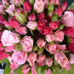 iidahiroko's profile picture. 