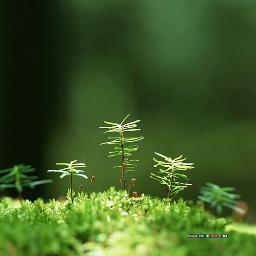 How wonderful it is that nobody need wait a single moment before starting to improve the world.- Anne Frank