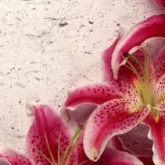 To be at peace with ourselves we need to know ourselves.-Caitlin Matthews