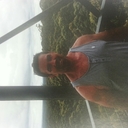 Lance Maxwell - @maxymax65 - Twitter