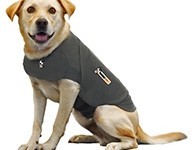 ThundershirtT's profile picture. Thundershirt köpeklerde görülen tedirginlik ve korku sorunlarının büyük çoğunluğu için mükemmel bir tedavi aracıdır.