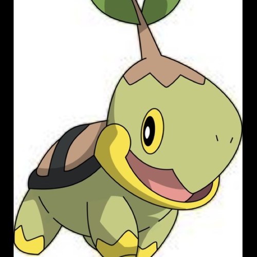 Hi I'm Andrew the turtwig my shell changes color at random times