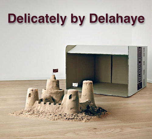 Logo de la société Delahaye Moving