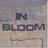 In Bloom