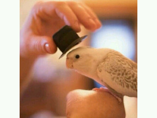Enginnring..Fahad