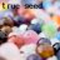 ECショップ・true seed店長の渡辺です！当店では話題のパワーストーンやボリビア製祈祷済みエケコ人形などをお届けしています！どうぞよろしく。
