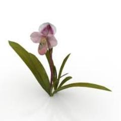 The man who is awakened, lives in such a way that he leaves no footprints.- Osho quoting The Buddha