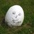 duncan_laming's profile image