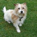 alan walker - @suzysgreat - Twitter