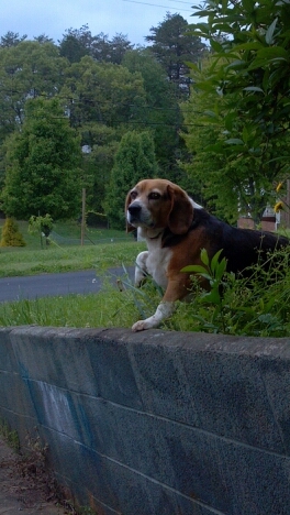 marthahouston1's profile picture. 