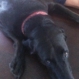 hiho01's profile picture. Aquarius who enjoys reading, woodwork, sailing, windsurfing & SUP.