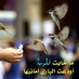 Abeer (@abeer_l1) Twitter profile photo Abeer (@abeer_l1) Twitter profile photo