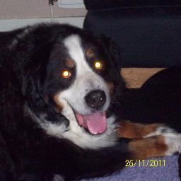 make1make1's profile picture. professional dourfla