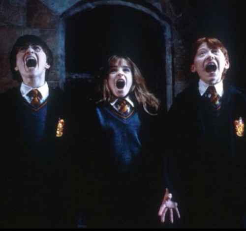 if you're looking for an account all about Potter you've found the place, so hey click the follow? ☀ 'i am not worried Harry i am with you.' askforafollowback