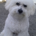 Fiona ryan - @FifikellyRyan - Twitter