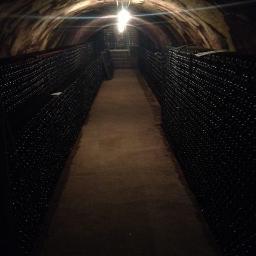 Lelamanoir's profile picture. 