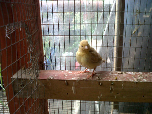 sue_dom's profile picture. 