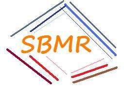 SBMktResearch's profile picture. 