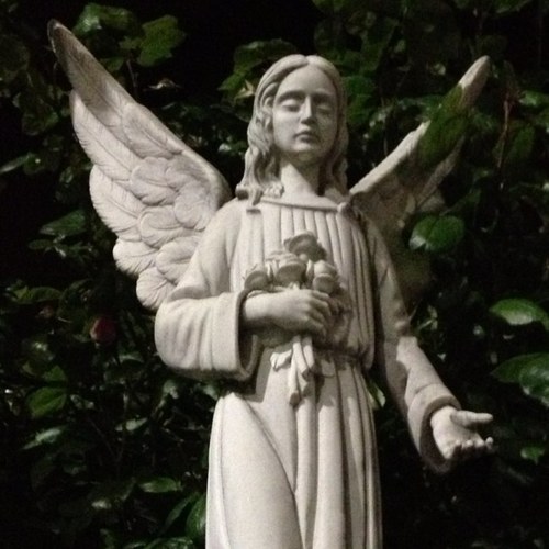 Angel Custodio (@AngelCustodio18) | Twitter