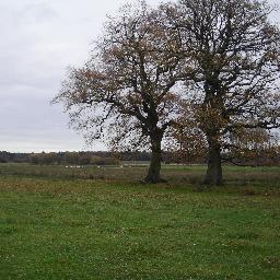 Organic livestock farm and vegetable box scheme on the banks of the River Avon.