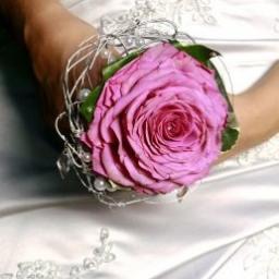 Floristería La Camelia
A su servicio desde 1978
Vigo