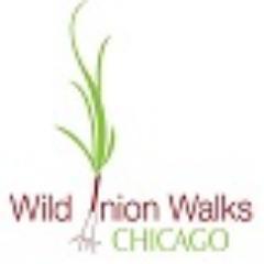 Windy City native. Married to a GREAT woman. Two wonderful kids. One slightly neurotic cat. Edgewater is my hood, but Chicago is my passion! Explore with me.