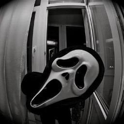 filipeoa's profile picture. 