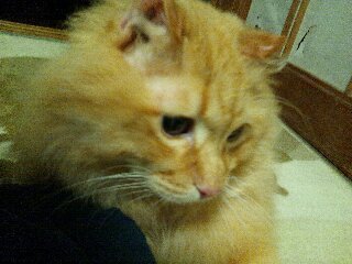 aymmm_'s profile picture. 