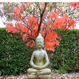 shaw_caz's profile picture. vegetarian buddhist with a well- developed sense of humour.