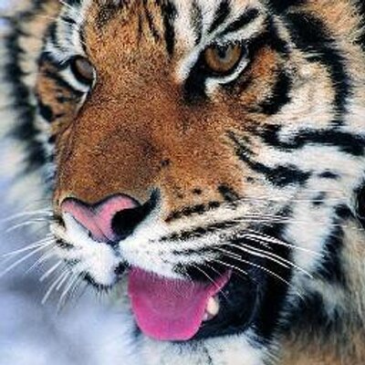 Tora 実写アラジンの最高の友達の歌のシーン ダンスがあまりにキレキレ で揃ってるのでcgかと思ってしまったんだけど つまりその時の私はまだk Popに馴染みが無かったんですね 19年公開かあ