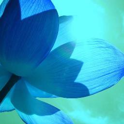 CherBethel's profile picture. Dance like no one is watching; love like it will never hurt.