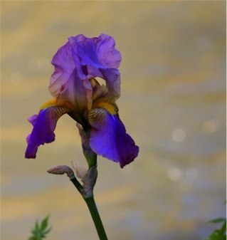 davamitweet's profile picture. Sono un fotoamatore alla buona...