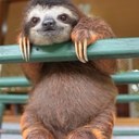 nicholas waite - @1nicholas7 - Twitter