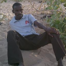 elhusseinabde's profile picture. 