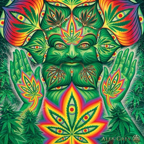 josh_houle1's profile picture. Train by day joe rogan podcast by night!!