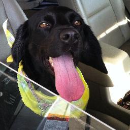 fishead6's profile picture. Jordan and CJ's Dad, Jessie dog owner, Gamecock Fan, StL Cards Fan, NASCAR Fan, fisherman,