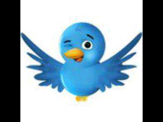 Promoting small business. Supporting young business owners. We Follow Back, Retweet & Shoutouts