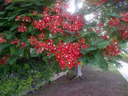 lorenamsnuel's profile picture. 