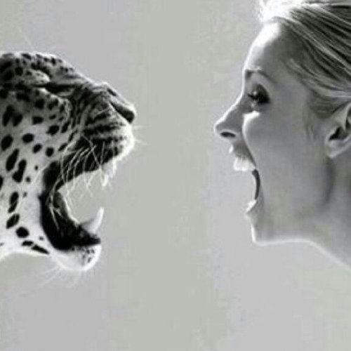 shooshy_e's profile picture. My family is my happiness ♡♡♡