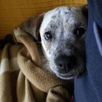 ferney  beltrán (@ferneybeltran) 's Twitter Profile