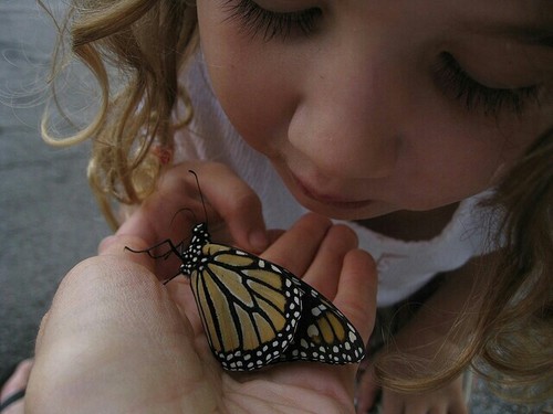 biologybus's profile picture. BIOlogy !!