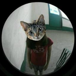 http://t.co/EEUUKBa4FH